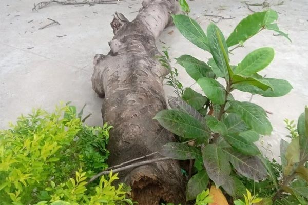 Phát hiện vật thể lạ, một trường học ở Đà Nẵng bị phong tỏa-3