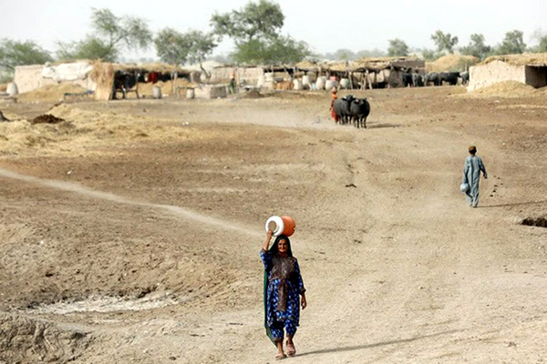 Ăn phải gián, ruồi... đến 200 lần, cô gái bị cảnh sát tóm gáy-2