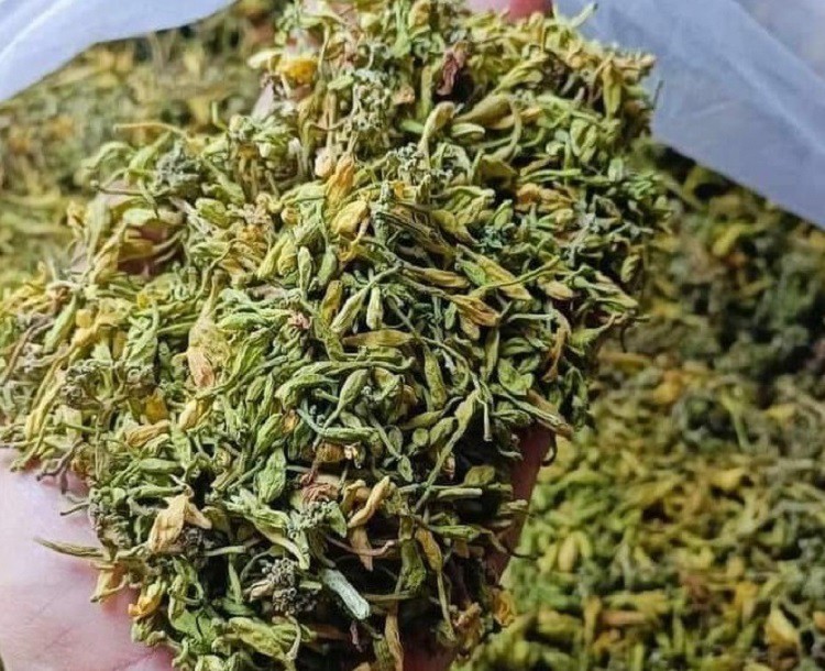 Loại hoa từng được lùng mua với giá hàng triệu đồng/kg, giờ giá giảm 10 lần vẫn ế-1