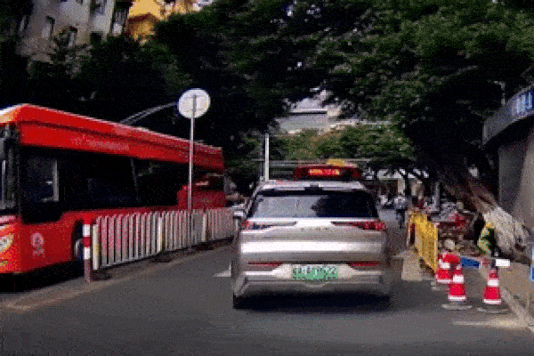 Khoảnh khắc ô tô bị cây cổ thụ đè trúng khi đang di chuyển trên đường