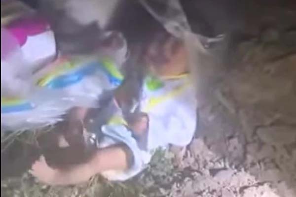 Diễn biến điều tra vụ người phụ nữ cầm dao khống chế nhân viên cửa hàng F88-2