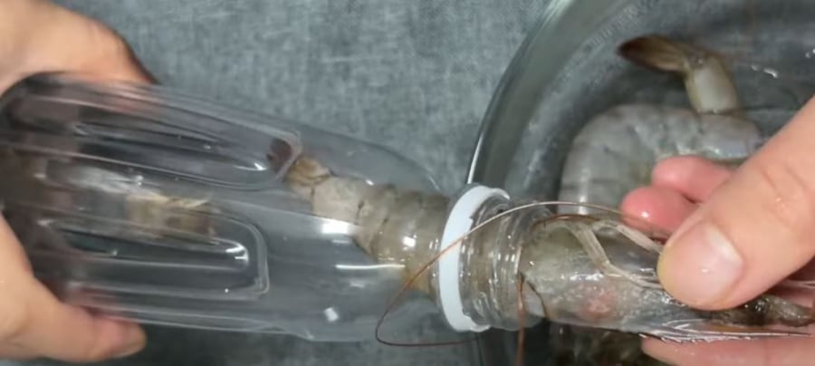 Tôm sống mua về đem ngâm trong thứ nước này rồi bỏ tủ lạnh, để cả tháng vẫn ngọt thịt, không đen đầu-4