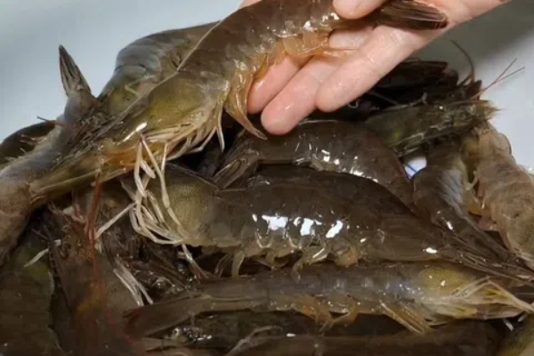 Nên mua đồ gia dụng bằng inox 304 hay 316?-2