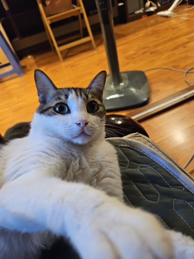 Chi hơn nửa tháng lương cho tiền xe ôm và tiền ăn, cô bạn 25 tuổi vẫn cảm thấy xứng đáng”-3