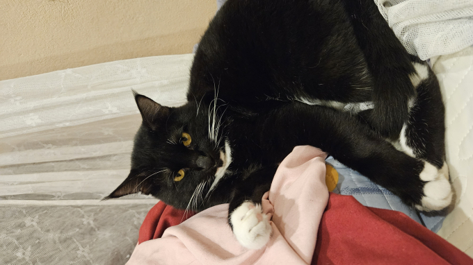 Chi hơn nửa tháng lương cho tiền xe ôm và tiền ăn, cô bạn 25 tuổi vẫn cảm thấy xứng đáng”-4