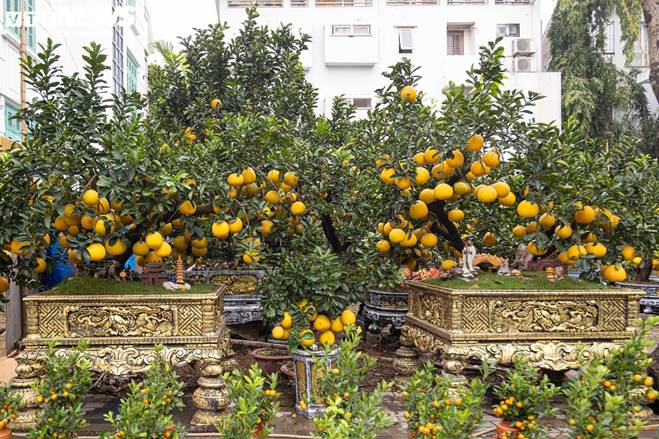 Bưởi bonsai tiền triệu xuống phố, chờ khách mua về đón Tết-6