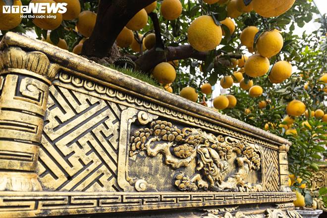 Bưởi bonsai tiền triệu xuống phố, chờ khách mua về đón Tết-7