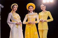 Việt Nam tiếp tục bội thực hoa hậu trong năm 2024