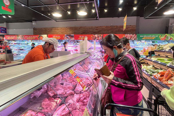 TP.HCM: Hoa mai trưng Tết cho thuê giá 200 triệu đồng/cây, giao hàng tận Hà Nội-17