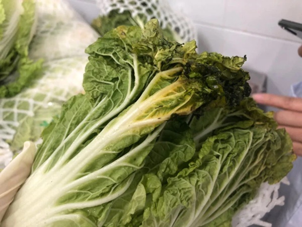 Bốn kiểu ăn rau có hại-2