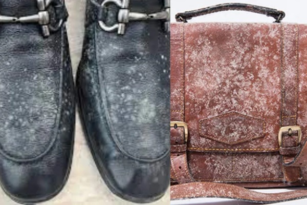 Tác dụng của việc đặt khẩu trang vào tủ lạnh-2