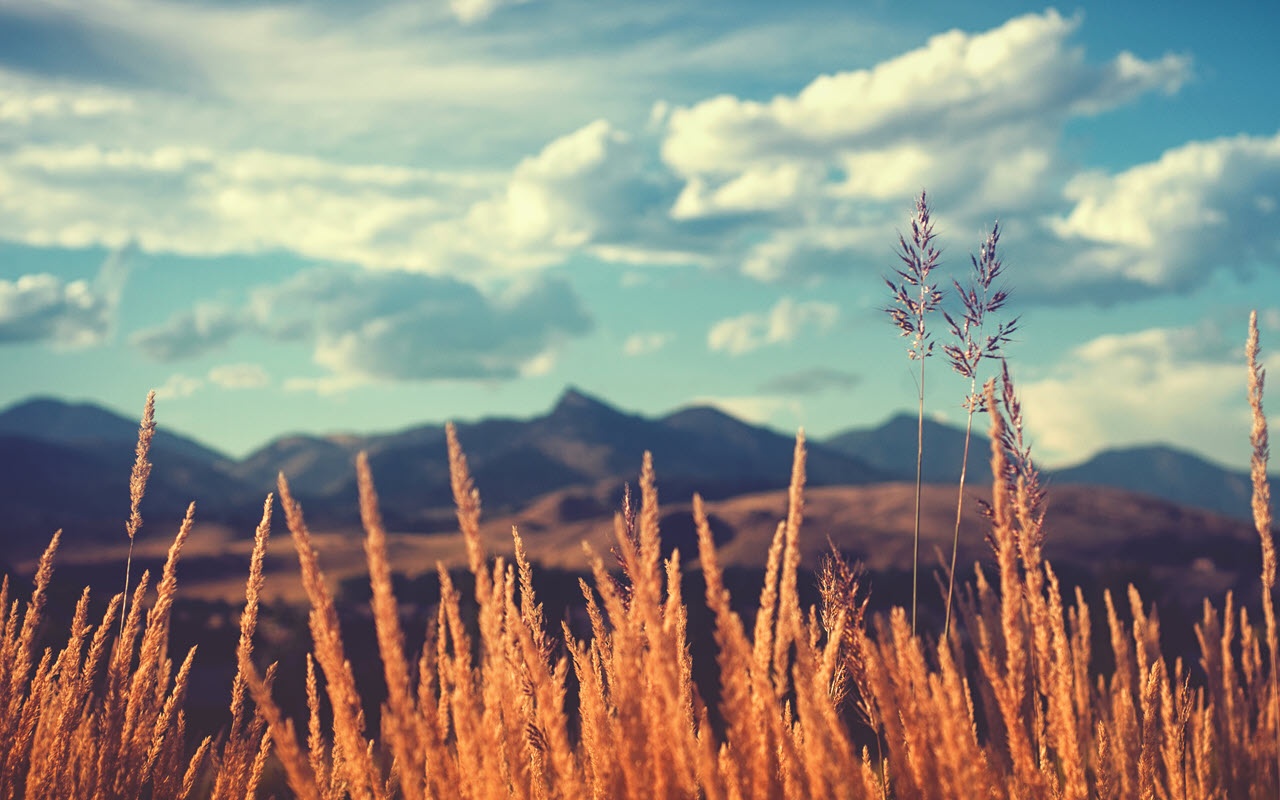 Tử vi ngày 13/1/2024: Tuổi Tý tài lộc khởi sắc, ‎tuổi Ngọ gặp khó trăm bề-3