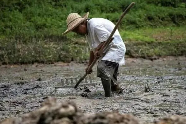 Đăng bài mượn tiền 300 người lạ, người phụ nữ ngông nghênh nhận cái kết ngỡ ngàng, ai biết sự thật cũng muốn cho luôn không cần trả lạ-7