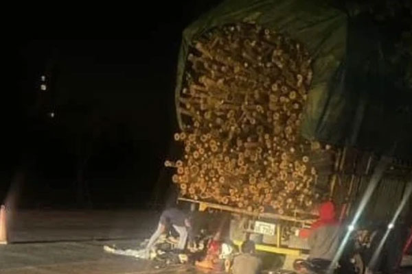 Vụ xe máy tông đuôi ô tô tải chở gỗ keo: Hai nạn nhân tử vong có nồng độ cồn mức cao-1