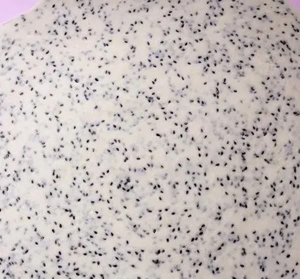 Tết này hãy làm món bánh giòn ngon thơm phức vị tuổi thơ để đãi khách, đặc biệt trẻ em rất thích-5