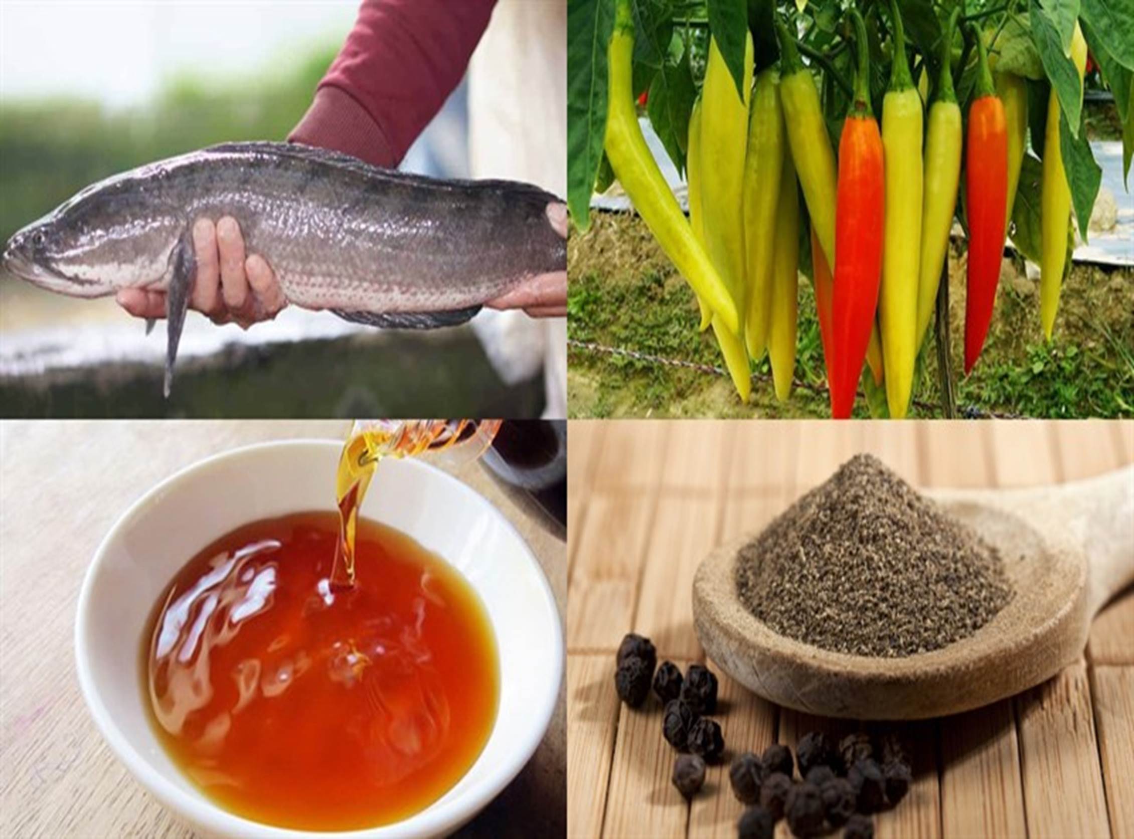 Cá lóc làm theo cách này đảm bảo ngon đậm đà chắc thịt-1