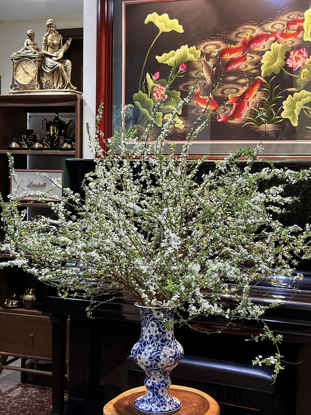 Người dân săn tuyết mai chơi Tết, giá hơn 200.000 đồng/bó vẫn cháy hàng-1