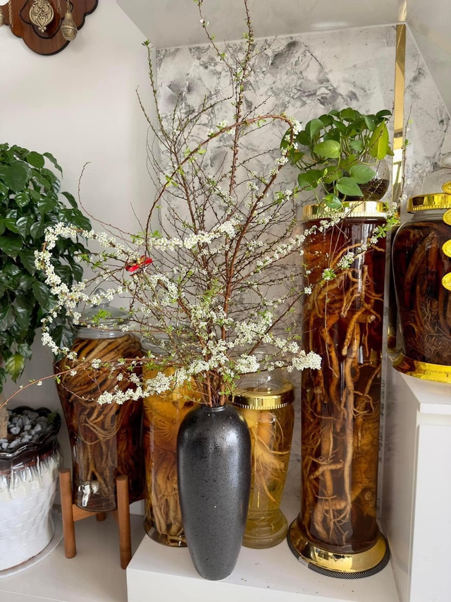 Người dân săn tuyết mai chơi Tết, giá hơn 200.000 đồng/bó vẫn cháy hàng-2