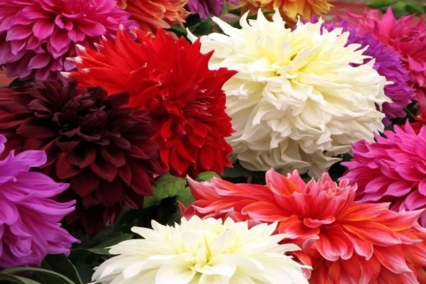 Cuối năm dọn nhà thấy 5 thứ này không dùng tới cũng tuyệt đối không cho đi kẻo mất lộc-5