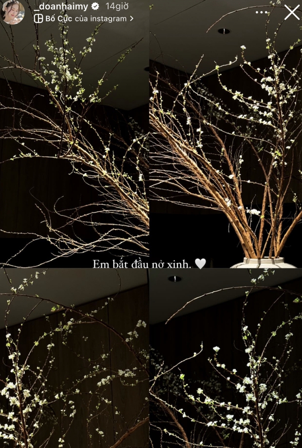 Đoàn Văn Hậu mời Tiến Linh, Quế Ngọc Hải đến chơi nhà, nhìn ảnh đoán Doãn Hải My đảm đang thế nào-2