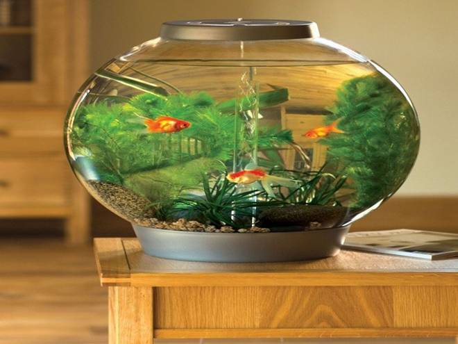 Cuối năm dọn nhà thấy 5 thứ này không dùng tới cũng tuyệt đối không cho đi kẻo mất lộc-1