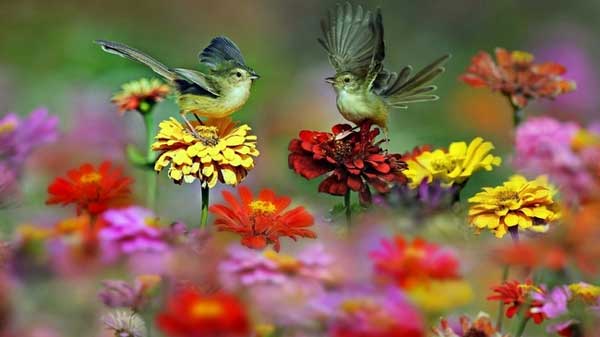 Niềm vui từ trên trời rơi xuống: 3 con giáp được Thần Tài ưu ái, tài lộc tỏa sáng vào cuối tháng 1-1