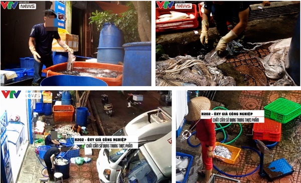 Hình ảnh mực đóng thành tảng đen xì, bày la liệt dưới sàn nhà khiến cư dân mạng hốt hoảng: Đằng sau những suất buffet 99k, 129k đây sao?-2