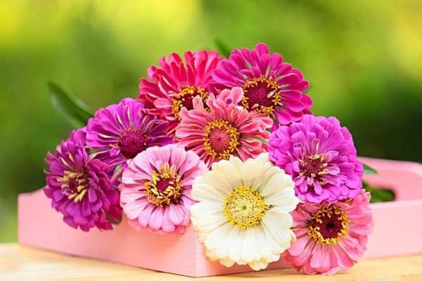 Kiên trì, tận tâm: 3 con giáp khởi đầu 2024 viên mãn, tiền của rủng rỉnh, Giáp Thìn đón lộc lớn-2