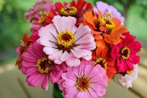 Năm Giáp Thìn, sinh con vào tháng 4 Âm lịch này, trẻ thông minh, khỏe mạnh, lớn lên thành tài-5