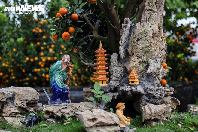 Cặp quất hình rồng giá trăm triệu khoe dáng, chờ khách đại gia xuống tiền mua-8