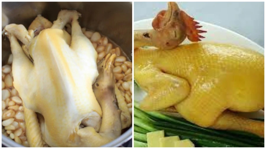 Luộc gà bằng nước lạnh ngon 1, thì luộc bằng cách này ngon 10: Vừa ngọt thịt, chặt không lo vỡ nát-2