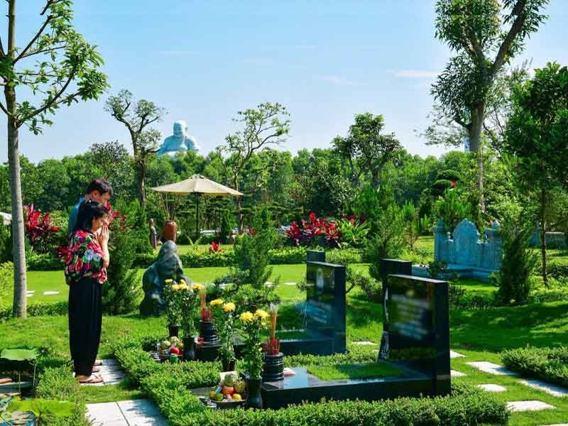 Tổ tiên dặn, 5 loại cây trồng ở âm trạch, con cháu đời đời hưng thịnh, đó là cây gì?-1