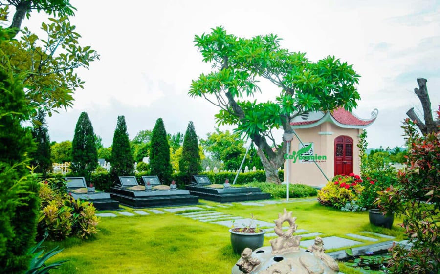 Tổ tiên dặn, 5 loại cây trồng ở âm trạch, con cháu đời đời hưng thịnh, đó là cây gì?-2