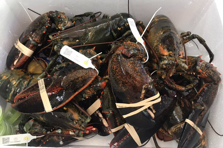 Chi hơn 500 triệu USD nhập khẩu, tôm hùm ngoại la liệt chợ Việt-1