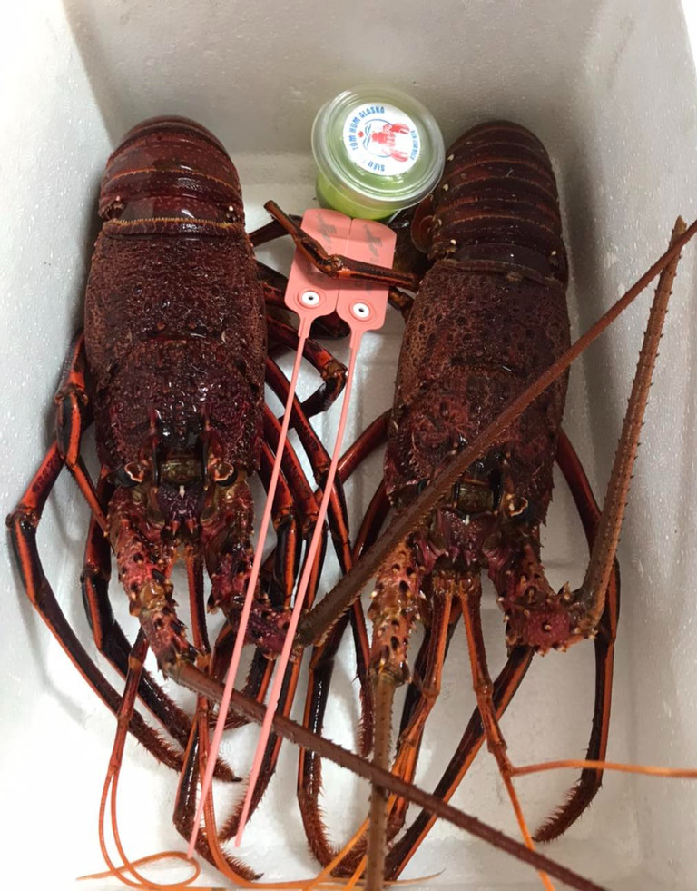 Chi hơn 500 triệu USD nhập khẩu, tôm hùm ngoại la liệt chợ Việt-2