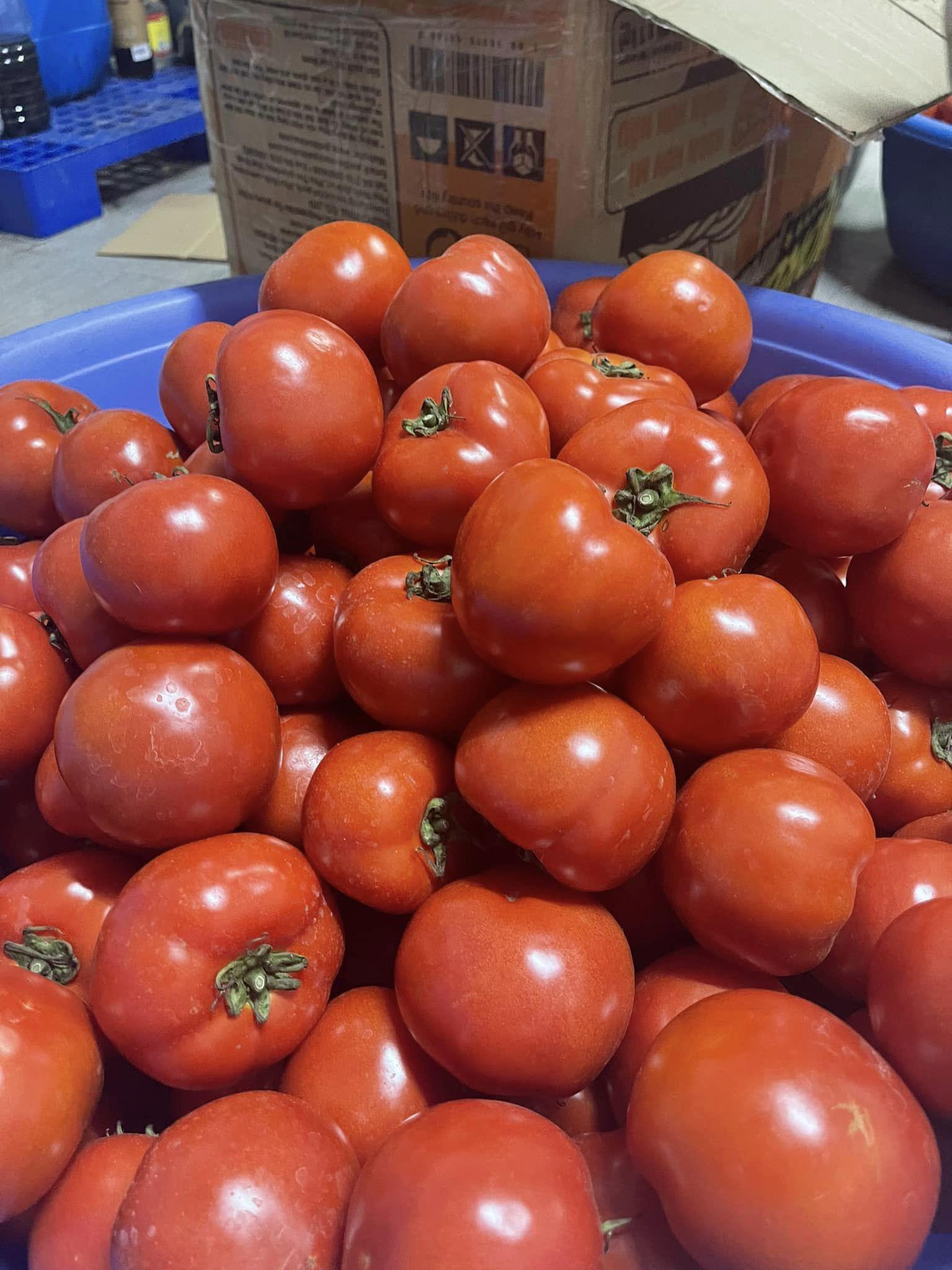 Giá cà chua giảm 10 lần so với cùng kì năm ngoái, có người mua cả chục cân về ăn dần-1