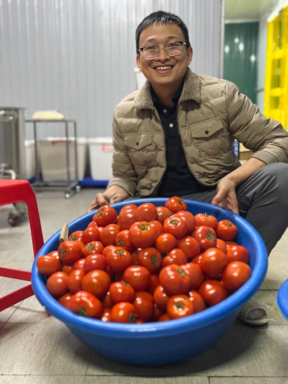 Giá cà chua giảm 10 lần so với cùng kì năm ngoái, có người mua cả chục cân về ăn dần-2