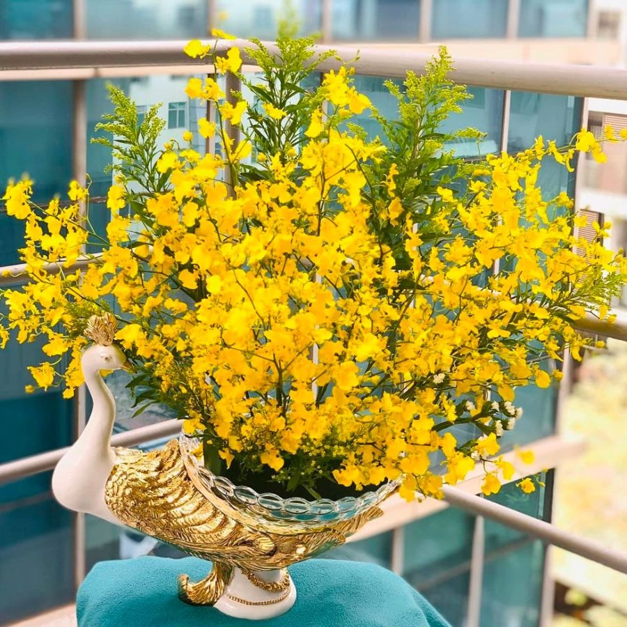 Người già dặn: Tết Nguyên đán, đặt 6 cây cảnh này trong nhà, Thần Tài sẽ tìm đến gia đình-5