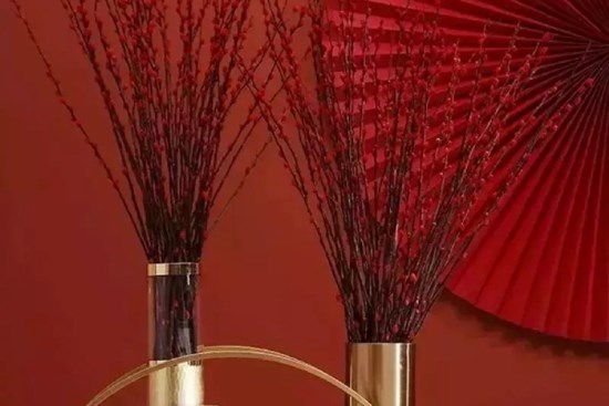 Người già dặn: Tết Nguyên đán, đặt 6 cây cảnh này trong nhà, Thần Tài sẽ tìm đến gia đình