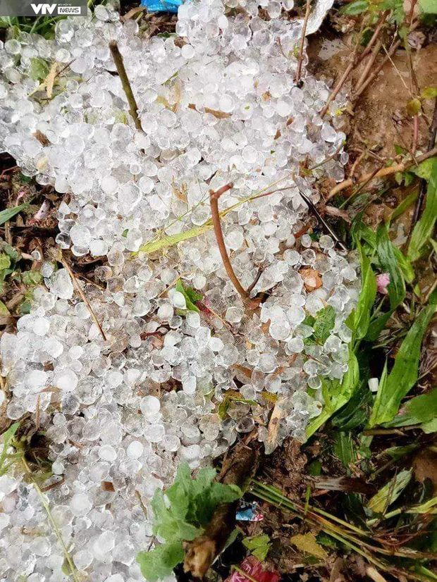 Mưa đá bất ngờ xuất hiện tại Lai Châu-1