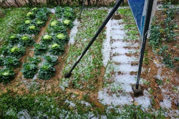 Nữ doanh nhân nổi tiếng không biết mình bị truy nã gần 30 năm-2