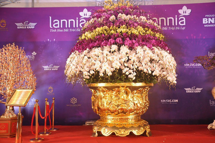 Chậu lan hồ điệp dát vàng đắt nhất Việt Nam, chủ nhân hét giá” 3,86 tỷ đồng-1