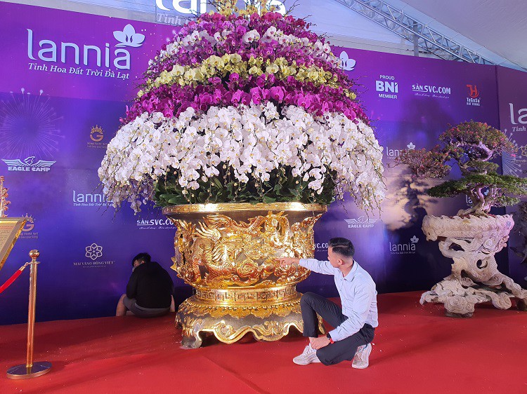 Chậu lan hồ điệp dát vàng đắt nhất Việt Nam, chủ nhân hét giá” 3,86 tỷ đồng-5