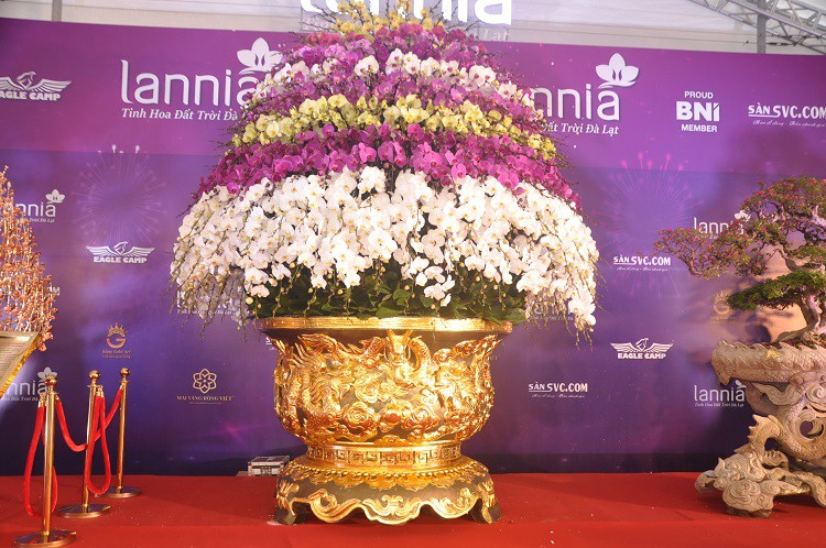 Chậu lan hồ điệp dát vàng đắt nhất Việt Nam, chủ nhân hét giá” 3,86 tỷ đồng-10