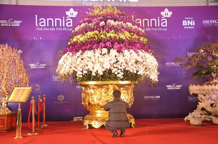 Chậu lan hồ điệp dát vàng đắt nhất Việt Nam, chủ nhân hét giá” 3,86 tỷ đồng-11