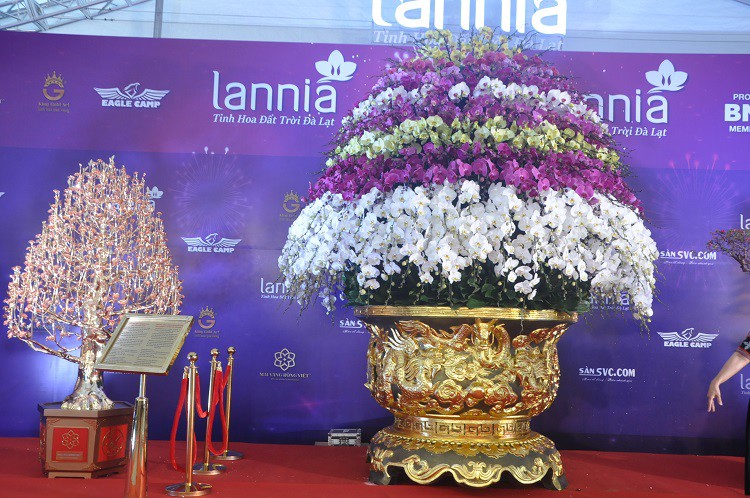 Chậu lan hồ điệp dát vàng đắt nhất Việt Nam, chủ nhân hét giá” 3,86 tỷ đồng-12