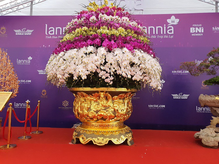 Chậu lan hồ điệp dát vàng đắt nhất Việt Nam, chủ nhân hét giá” 3,86 tỷ đồng-14