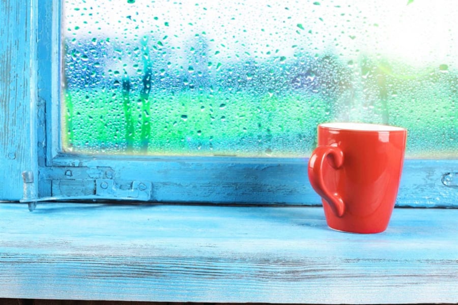 Trời nồm ẩm đừng bật quạt: Làm ngay cách này nhà khô ngay trong 5 phút, không tốn tiền-2