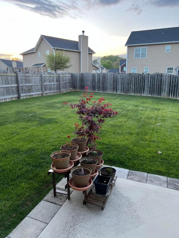 Vướng tin đồn sống trong khu ổ chuột khi theo chồng sang Mỹ, Trang Trần livestream tiết lộ toàn bộ cơ ngơi-10