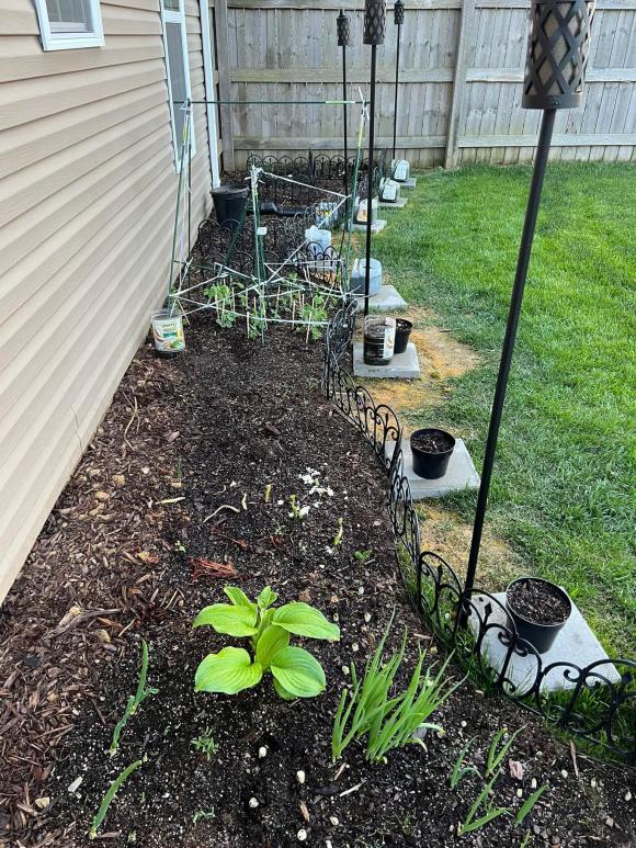 Vướng tin đồn sống trong khu ổ chuột khi theo chồng sang Mỹ, Trang Trần livestream tiết lộ toàn bộ cơ ngơi-11